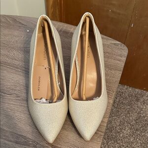 Elegant Silver Women's Shoes